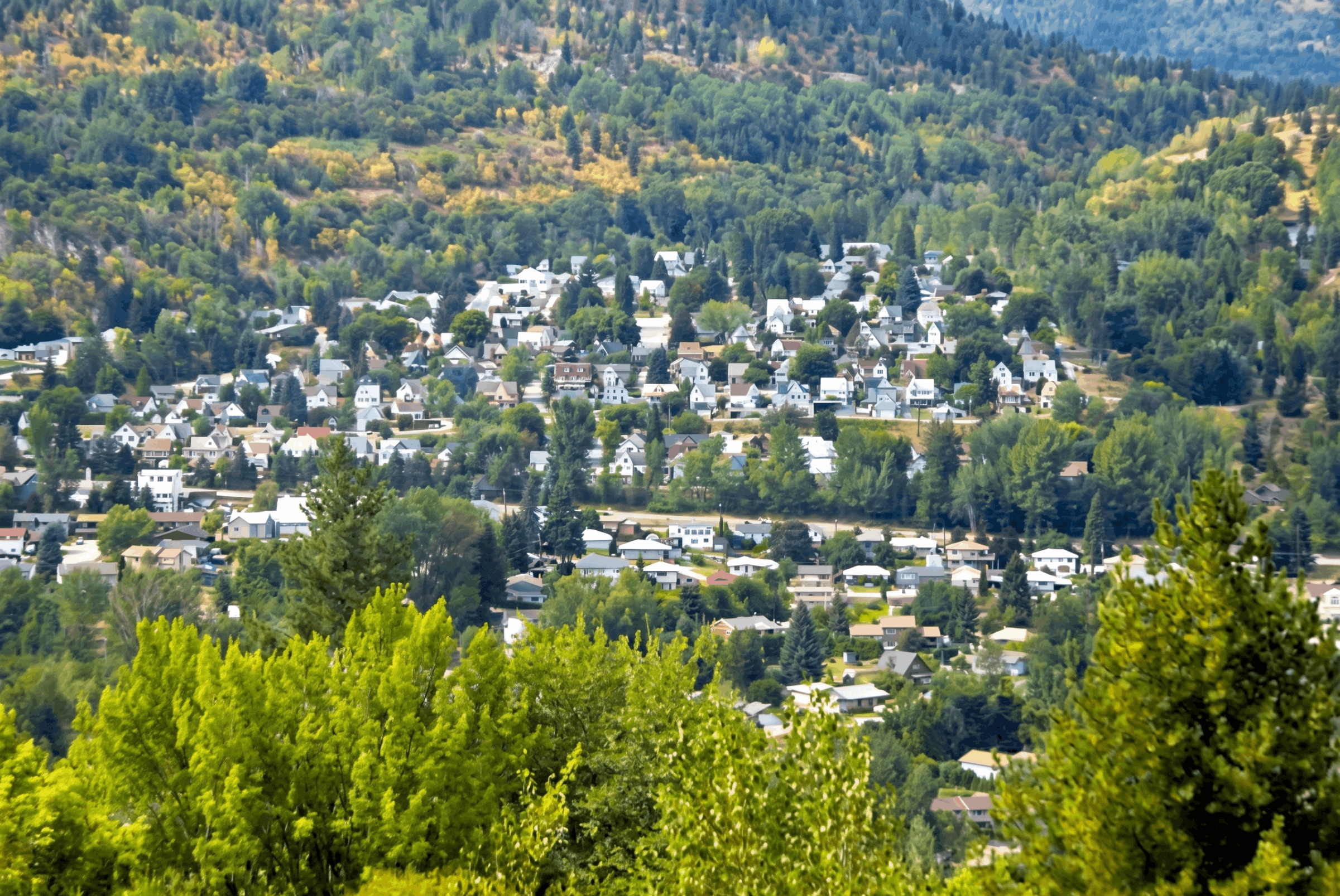 Navigating the Market With a Real Estate Agent in the Kootenays